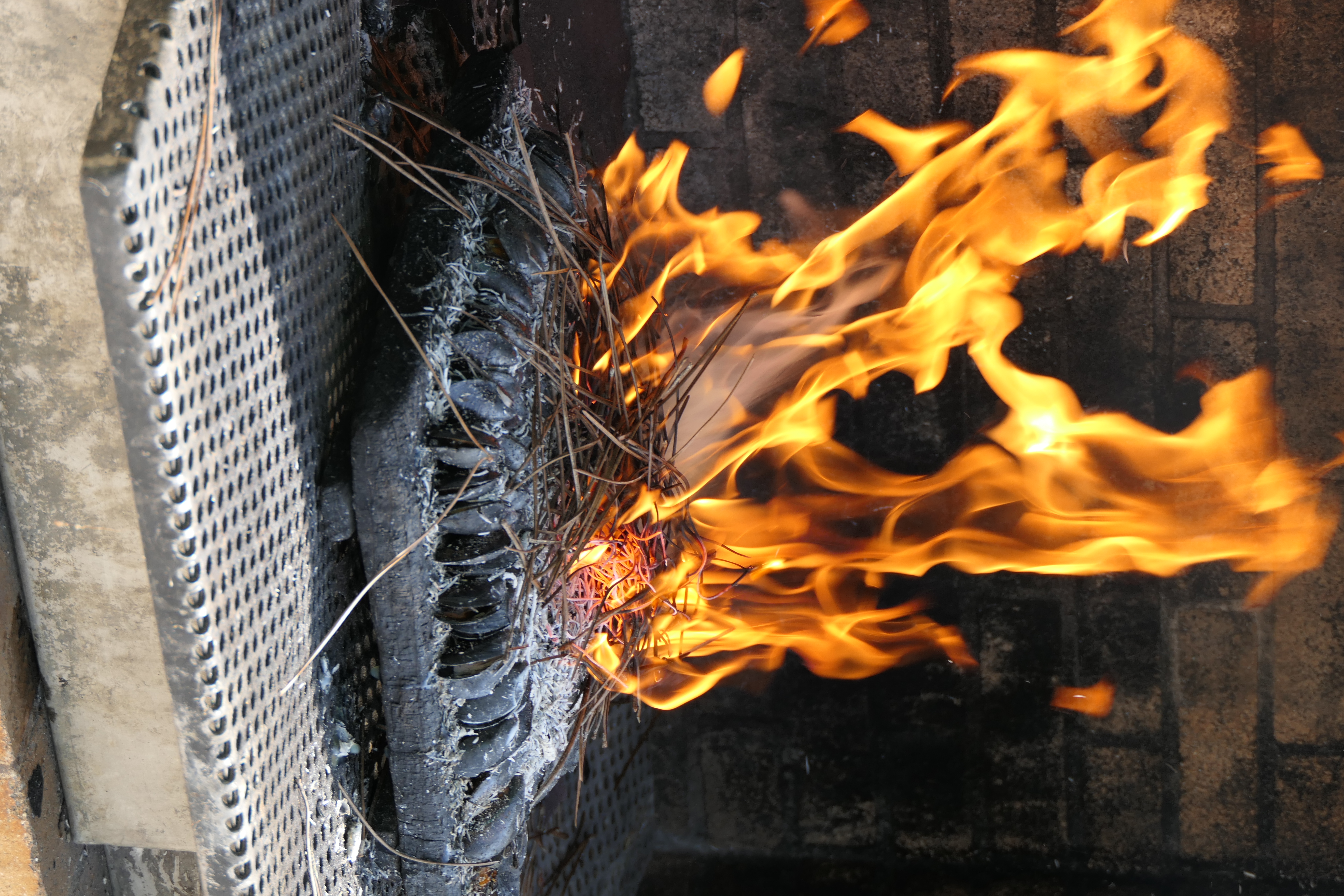 Dégustation de l'éclade